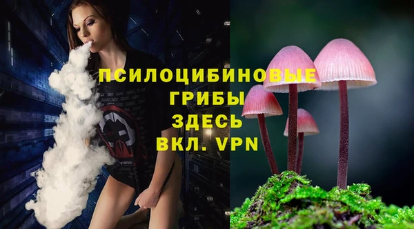 сатива Алексин