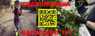 молекула духа Пушкино