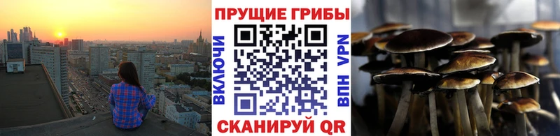 omg онион  Самара  Псилоцибиновые грибы мухоморы 